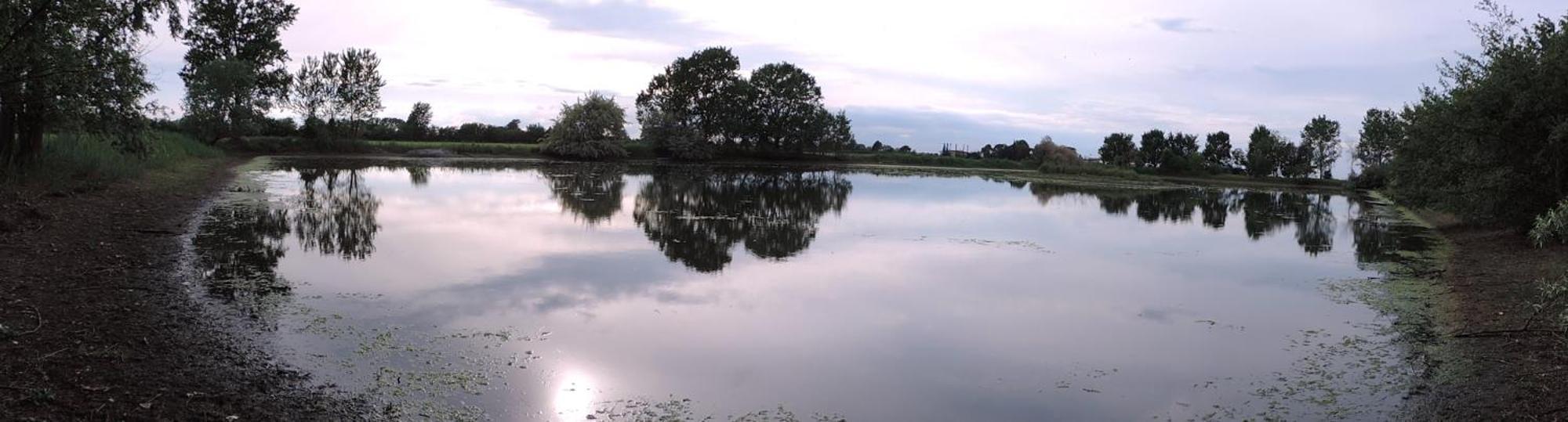Agriturismo Valle Isola "La Tana Del Gusto" Comacchio Zewnętrze zdjęcie